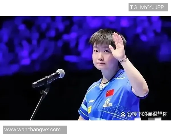 西安排球队战术引发热议球迷与专家观点大相径庭