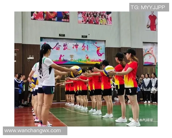 重庆排球队心理素质深度对比分析与影响因素探讨