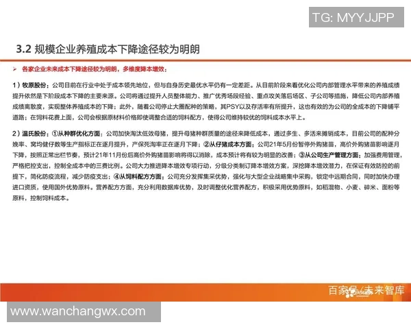 重庆足球队比赛经验分析与提升策略探讨