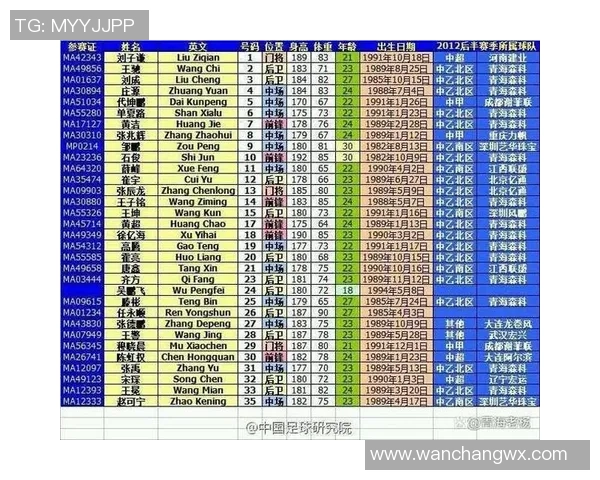 河南籍足球明星的辉煌历程与成就盘点