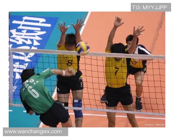 杭州排球队心理素质提升之路:热议排球背后的心灵变革与团队协作